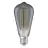 Ledvance Vintage 1906 LED E27 Edison Smoke 11W 500lm - 818 Blanc Très Chaud | Dimmable - Équivalent 42W