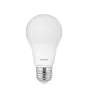 Noxion Pro LED E27 Poire Dépolie 5.5W 470lm - 827 Blanc Très Chaud | Dimmable - Équivalent 40W