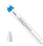 Philips Tube LED T8 CorePro (EM/Direct 230V) High Output 8W 900lm - 840 Blanc Froid | 60cm - Équivalent 18W
