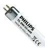 Philips T5 Short 8W - 640 Blanc Froid | 29cm