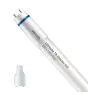 Philips Tube LED T8 MASTER (EM/Direct 230V) High Output 8W 1050lm - 840 Blanc Froid | 60cm - Équivalent 18W