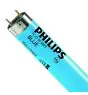 Philips MASTER TL-D 58W - Blauw | 150cm