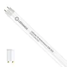Ledvance LED Buis T8 Performance (EM/Mains) High Output 20W 3100lm - 865 Daglicht | 150cm - Vervangt 58W
